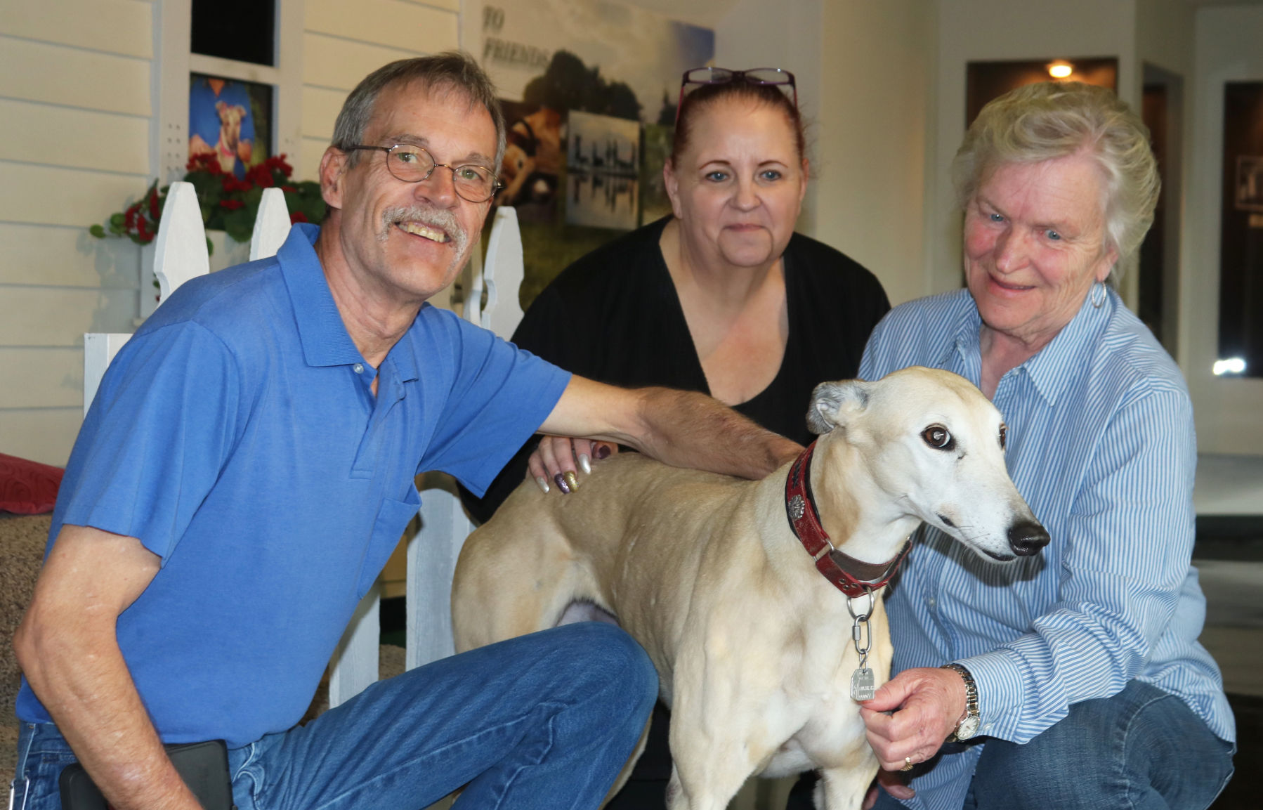 Greyhound Hall of Fame